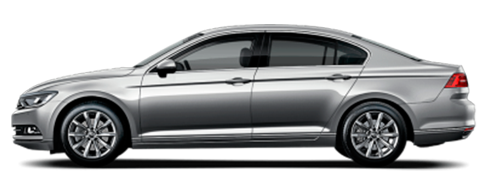 Volkswagen Passat Vizcaya