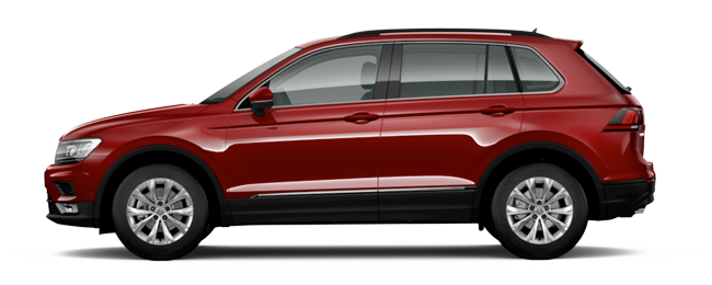 Volkswagen Tiguan Vizcaya