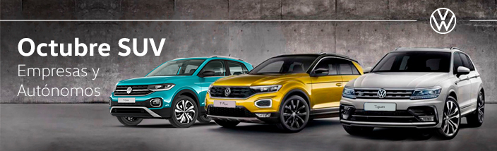 Ofertas Volkswagen autónomos y empresas Octubre 2020 en Bizkaia